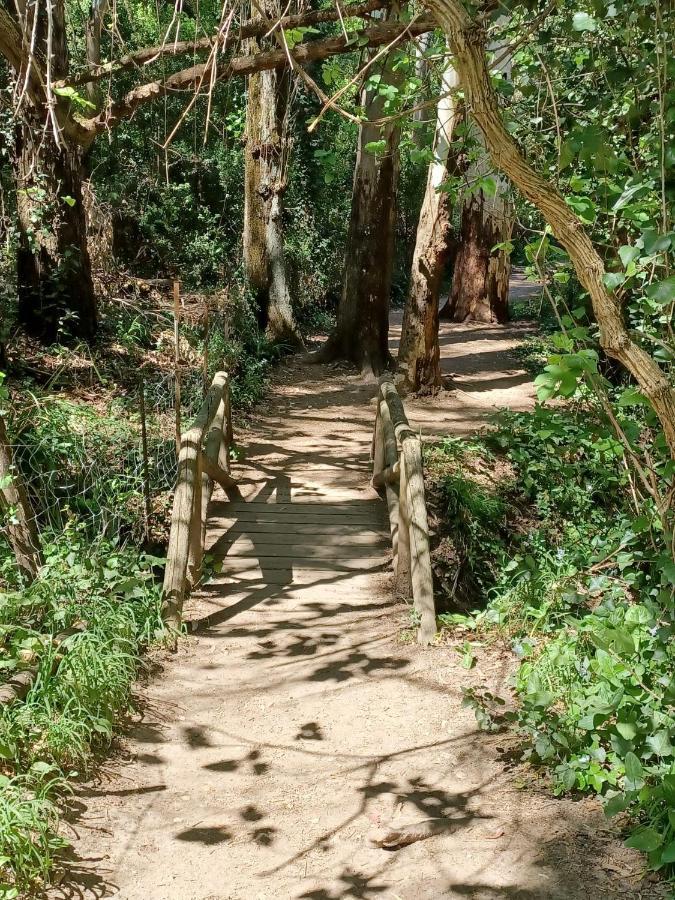 Willa Casa Sendero Del Rio El Bosque Zewnętrze zdjęcie