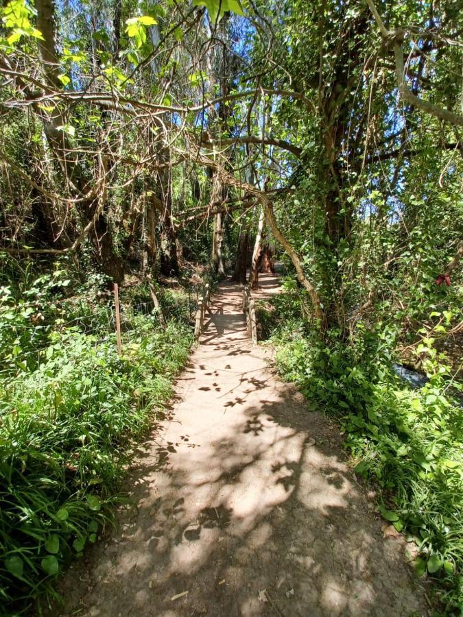 Willa Casa Sendero Del Rio El Bosque Zewnętrze zdjęcie