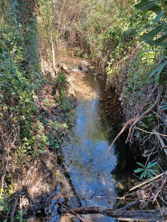Willa Casa Sendero Del Rio El Bosque Zewnętrze zdjęcie