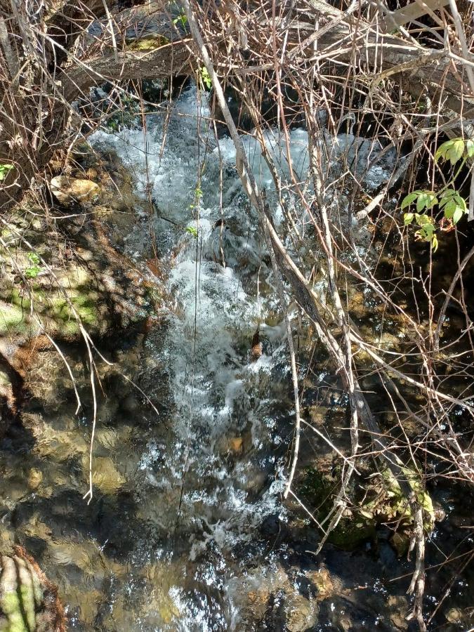 Willa Casa Sendero Del Rio El Bosque Zewnętrze zdjęcie