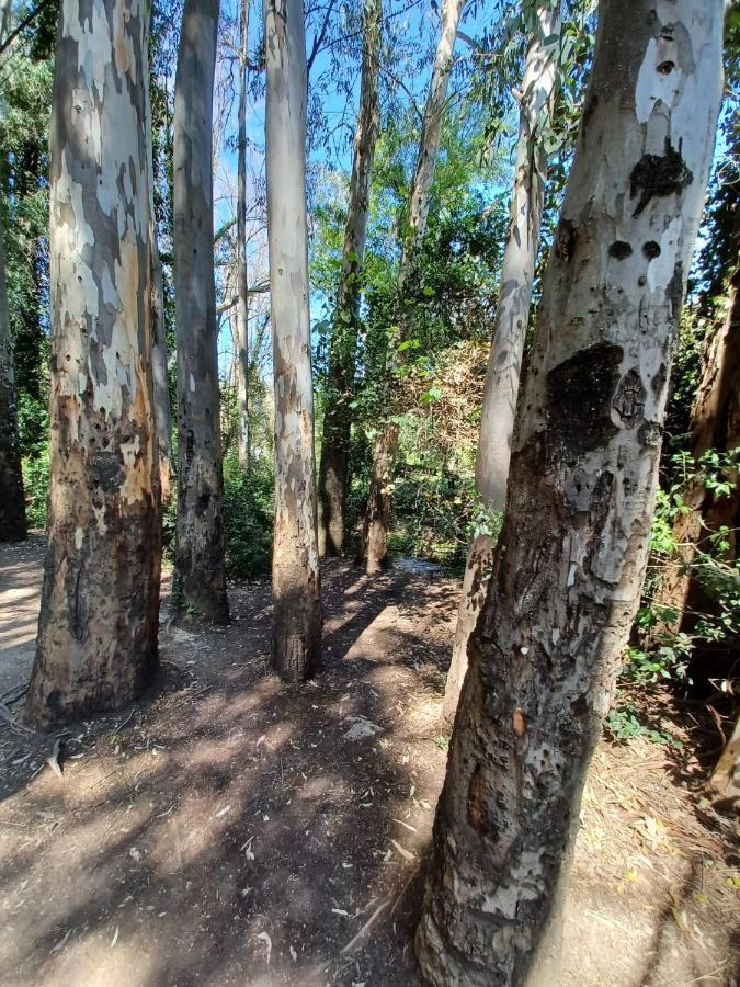 Willa Casa Sendero Del Rio El Bosque Zewnętrze zdjęcie